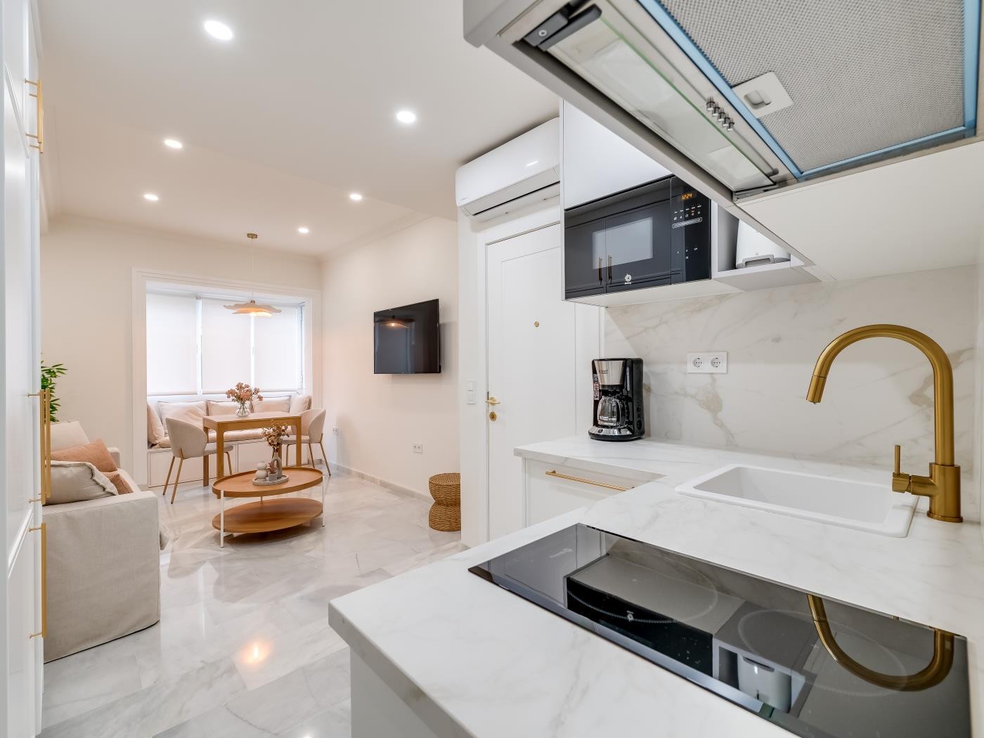 LXR PICASSO 2HAB CLOSE TO THE SEA in Fuengirola